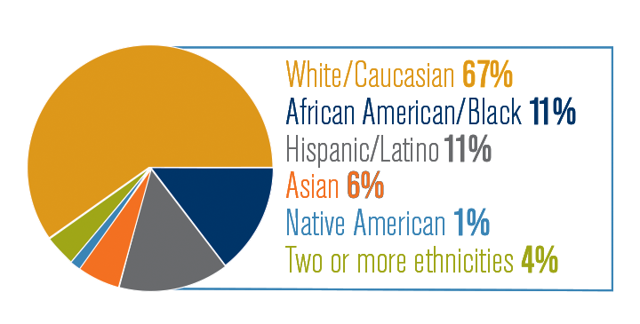 Pie chart 2.png